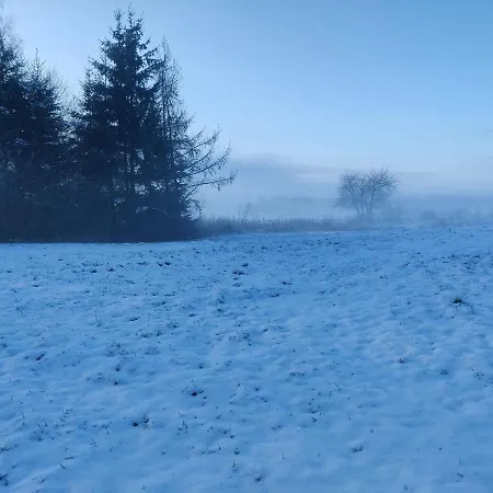 Osada Karszewo, Sauna Bania, Ryby Nyaraló