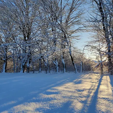 بيت للعطل Osada Karszewo, Sauna Bania, Ryby *
