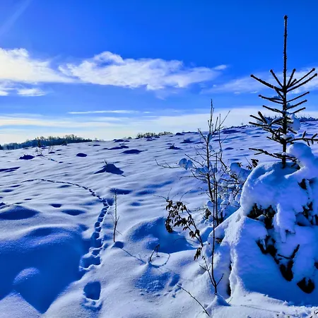 Osada Karszewo, Sauna Bania, Ryby * Karszewo