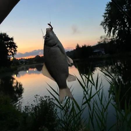 Casa de Férias Osada Karszewo, Sauna Bania, Ryby *