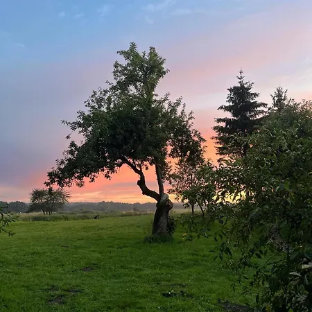 Osada Karszewo, Sauna Bania, Ryby بيت للعطل