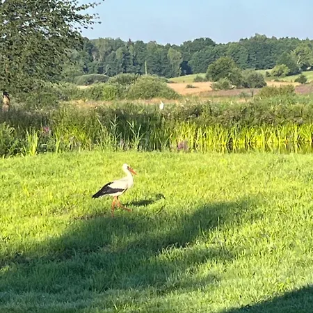 Osada Karszewo, Sauna Bania, Ryby * Karszewo