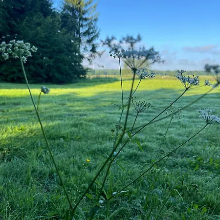 Osada Karszewo, Sauna Bania, Ryby بيت للعطل Karszewo